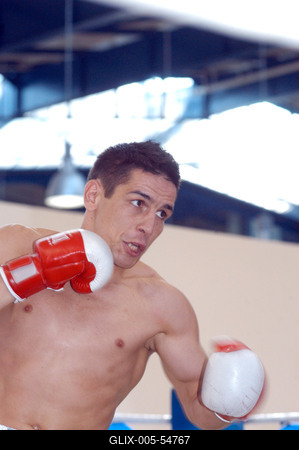 Kótai Mihály-stock-foto