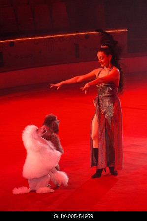 Fővárosi Nagycirkusz-stock-foto