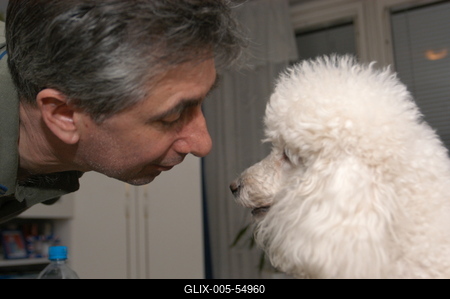 Kutya a családban-stock-foto