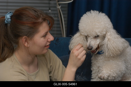 Kutya a családban-stock-foto