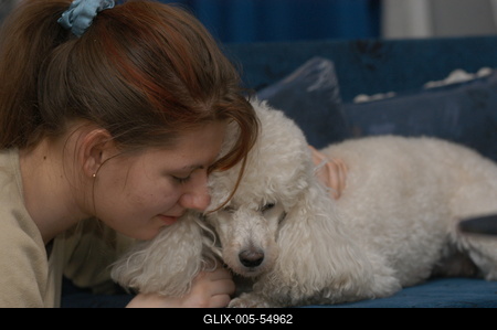 Kutya a családban-stock-foto