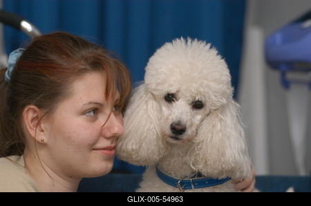 Kutya a családban-stock-foto