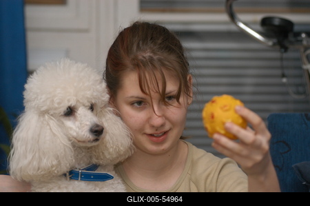 Kutya a családban-stock-foto