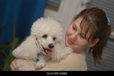 Kutya a családban-stock-foto