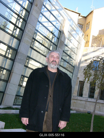 Mányi István-stock-foto