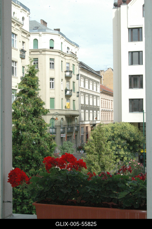 Pál Tibor-stock-foto