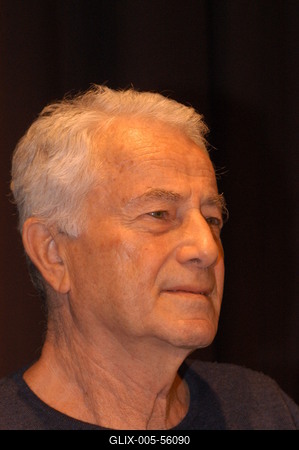 Salamon Pál-stock-foto