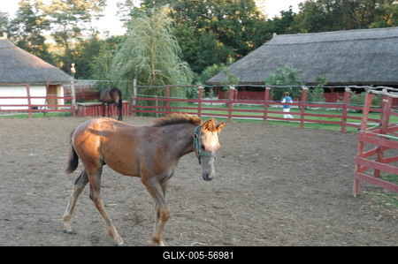 Püspökhatvan, Ökofarm-stock-foto