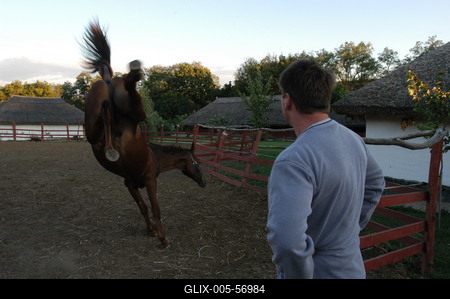 Püspökhatvan, Ökofarm-stock-foto