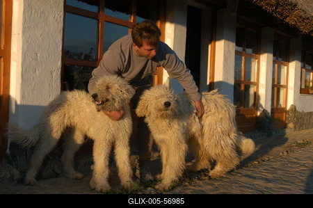 Püspökhatvan, Ökofarm-stock-foto