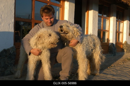 Püspökhatvan, Ökofarm-stock-foto