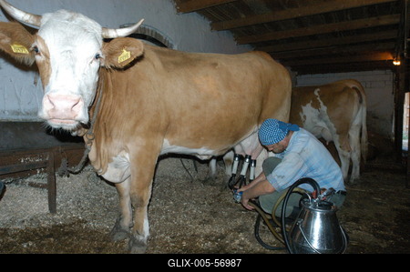 Püspökhatvan, Ökofarm-stock-foto