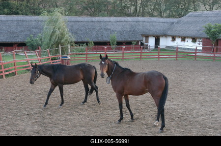 Püspökhatvan, Ökofarm-stock-foto