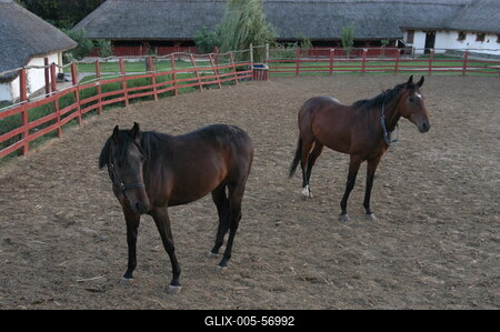 Püspökhatvan, Ökofarm-stock-foto