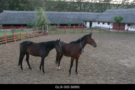 Püspökhatvan, Ökofarm-stock-foto