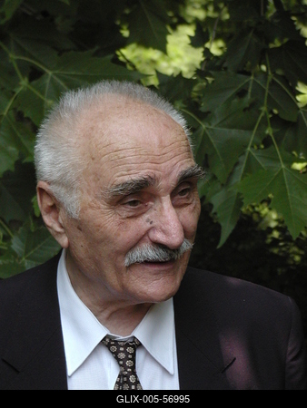 Varga Imre-stock-foto