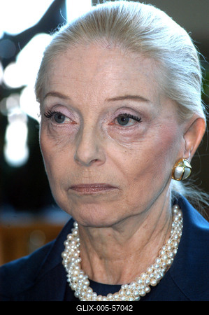 Budapest, 2004.05.20.
Vera Blinken, a volt amerikai nagykövet felesége, a MaMMa® Rt. szakembereit kéri fel mobil mammográfiás szűrőállomás megtervezésére és működtetésére.-stock-foto