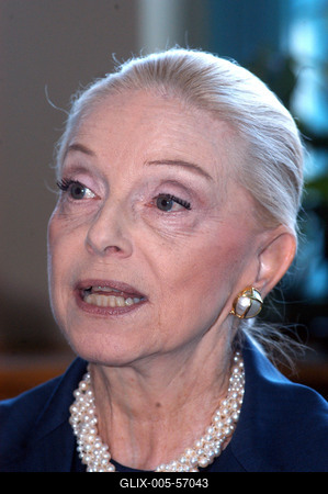 Budapest, 2004.05.20.
Vera Blinken, a volt amerikai nagykövet felesége, a MaMMa® Rt. szakembereit kéri fel mobil mammográfiás szűrőállomás megtervezésére és működtetésére.-stock-foto