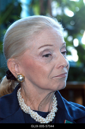 Budapest, 2004.05.20.
Vera Blinken, a volt amerikai nagykövet felesége, a MaMMa® Rt. szakembereit kéri fel mobil mammográfiás szűrőállomás megtervezésére és működtetésére.-stock-foto