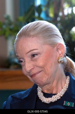 Budapest, 2004.05.20.
Vera Blinken, a volt amerikai nagykövet felesége, a MaMMa® Rt. szakembereit kéri fel mobil mammográfiás szűrőállomás megtervezésére és működtetésére.-stock-foto