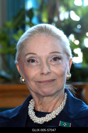 Budapest, 2004.05.20.
Vera Blinken, a volt amerikai nagykövet felesége, a MaMMa® Rt. szakembereit kéri fel mobil mammográfiás szűrőállomás megtervezésére és működtetésére.-stock-foto