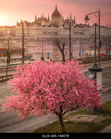 Rózsaszín tavasz-stock-foto