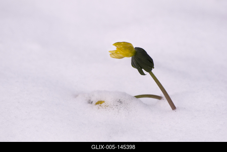 Winter cemetery-stock-foto