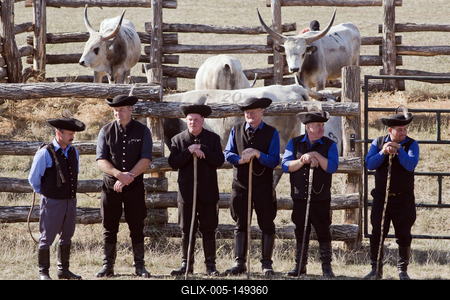 A magyar szürke szarvasmarha fajta népszerűsítése és a tenyészállat utánpótlást biztosító értékesítés a cél  a Magyar Szürke Bika Vásáron és Tenyészszemlén.Az árverésre kerülő tenyészállatok többsége a hortobágyi pásztorok keze alatt a Hortobágyi Nonprofit Kft. legelőin nevelkedtek.A megfelelő bikanevelést és minősítést a Magyar Szürke Szarvasmarhát Tenyésztők Egyesülete felügyeli. Az Egyesület és a cég közötti szoros szakmai kapcsolat eredményei ezek a tenyészállatok, melyek a fajta fenntartásának zálogai.A rendezvény helyszínén, a Pusztai Állatparkban ilyenkor a harmadéves vagyis harmadfű, fajta jellegének megfelelő, több minősítésen is átesett, külterjesen fölnevelt tenyészbikák vonulnak fel és kerülnek árverésre. Mind a nagyközönségnek, mind pedig a szakembereknek különleges élményt nyújt a tenyészállatok látványa és a hortobágyi gulyások szakmai fogásai, melyeket a mindennapi munkájuk során is alkalmaznak.-stock-foto