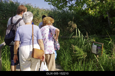 MADÁRBAN GAZDAG TISZATAVI VIZISÉTÁNY ÉS TANÖSVÉNY Poroszlóról Tiszafüred felé tartva a nagy híd előtt a Fűzfa Panziónál kell lekenyarodni és  poroszlói parttól 500 m- re van. Ide a kikőtőből induló motorcsónakokkal visznek be, ha elég látogató összegyűlik, de fél óránál tovább nem kell várni.-stock-foto