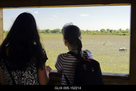 MADÁRBAN GAZDAG TISZATAVI VIZISÉTÁNY ÉS TANÖSVÉNY Poroszlóról Tiszafüred felé tartva a nagy híd előtt a Fűzfa Panziónál kell lekenyarodni és  poroszlói parttól 500 m- re van. Ide a kikőtőből induló motorcsónakokkal visznek be, ha elég látogató összegyűlik, de fél óránál tovább nem kell várni.-stock-foto