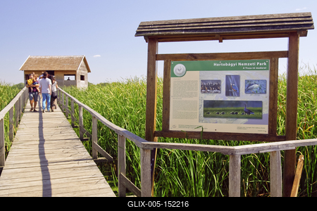 MADÁRBAN GAZDAG TISZATAVI VIZISÉTÁNY ÉS TANÖSVÉNY Poroszlóról Tiszafüred felé tartva a nagy híd előtt a Fűzfa Panziónál kell lekenyarodni és  poroszlói parttól 500 m- re van. Ide a kikőtőből induló motorcsónakokkal visznek be, ha elég látogató összegyűlik, de fél óránál tovább nem kell várni.-stock-foto