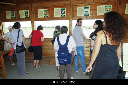 MADÁRBAN GAZDAG TISZATAVI VIZISÉTÁNY ÉS TANÖSVÉNY Poroszlóról Tiszafüred felé tartva a nagy híd előtt a Fűzfa Panziónál kell lekenyarodni és  poroszlói parttól 500 m- re van. Ide a kikőtőből induló motorcsónakokkal visznek be, ha elég látogató összegyűlik, de fél óránál tovább nem kell várni.-stock-foto