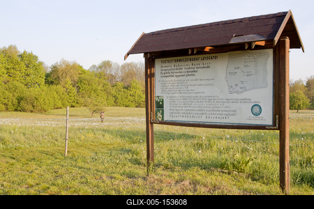 A Babócsai Basa-kert Természetvédelmi Terület 1977 óta védett kultúrtörténeti és növénytani értékei miatt. A mintegy 13 hektáros terület egyedülálló értéke a csillagos nárcisz (Narcissus stellaris), mely fehér virágszőnyegként borítja a mezőt tavasz derekán .-stock-foto
