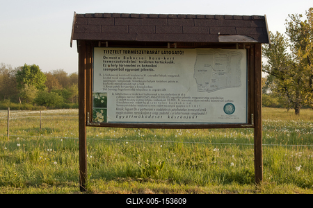 A Babócsai Basa-kert Természetvédelmi Terület 1977 óta védett kultúrtörténeti és növénytani értékei miatt. A mintegy 13 hektáros terület egyedülálló értéke a csillagos nárcisz (Narcissus stellaris), mely fehér virágszőnyegként borítja a mezőt tavasz derekán .-stock-foto