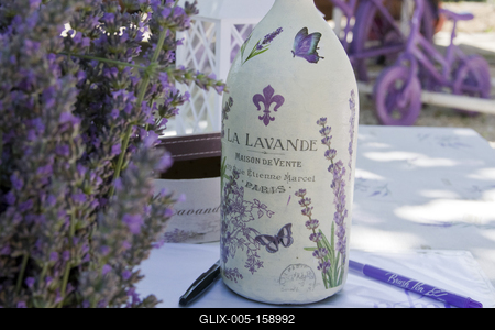 2019-ben először megnyílt a Vénkerti Levendulás, ahol legalább 2000 tő levendula várta az odalátogatókat.-stock-foto