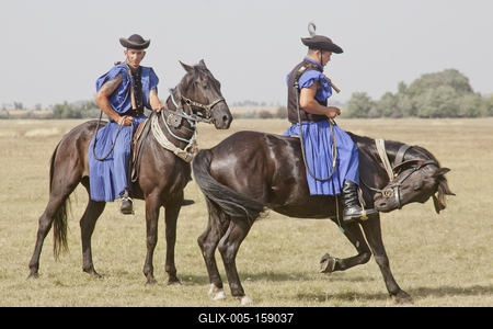 A Hortobágy-stock-foto