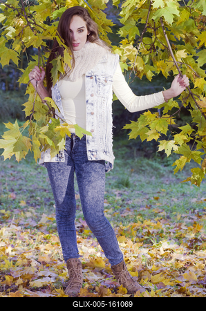 When the autumn comes-stock-foto