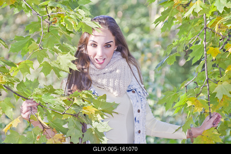 When the autumn comes-stock-foto