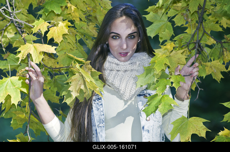 When the autumn comes-stock-foto