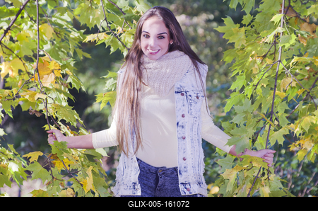 When the autumn comes-stock-foto