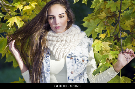 When the autumn comes-stock-foto