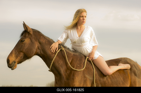 A Ló és a szabadság jelképe összefonódott örökre-stock-foto