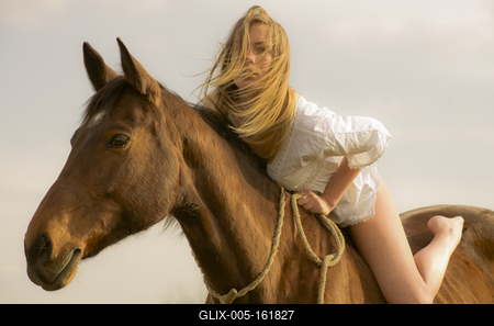 A Ló és a szabadság jelképe összefonódott örökre-stock-foto
