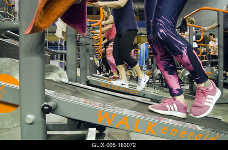 FŐNIX FITT IV-stock-foto