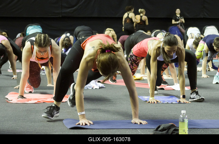 FŐNIX FITT IV-stock-foto