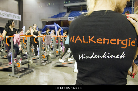 FŐNIX FITT IV-stock-foto