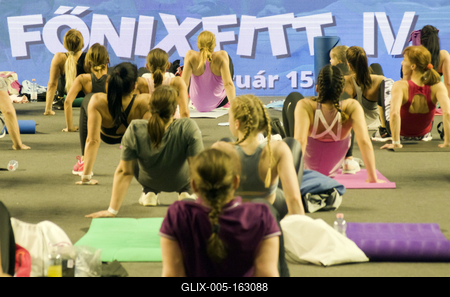 FŐNIX FITT IV-stock-foto