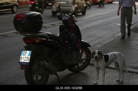 Live in Italia-stock-foto