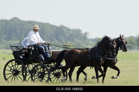 39th Kösely Kupa Hungary/Hajdúszoboszló 2020-stock-foto