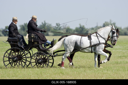 39th Kösely Kupa Hungary/Hajdúszoboszló 2020-stock-foto